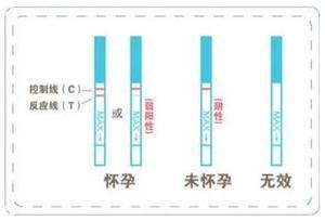 怎么测试怀孕的时间?